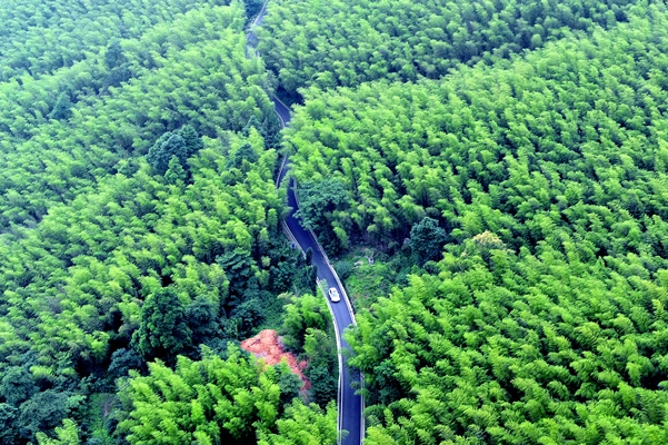 重庆周边一小时旅游排行榜-重庆周边1小时车程景点排行榜