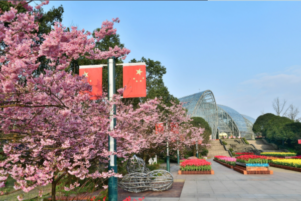 重庆南岸区旅游必去景点-重庆市南岸区十大旅游景点排行榜