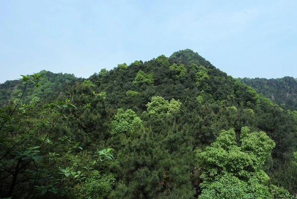 重庆爬山去哪里好玩儿-重庆爬山景点排行榜