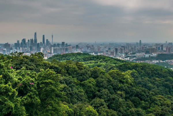 广东的名胜古迹和著名景点-广东十大景点名胜古迹排行榜