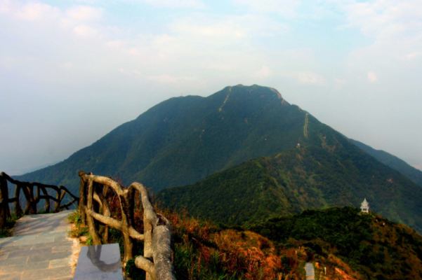 深圳哪里好玩并且免费-深圳好玩又免费的景点大全排行榜