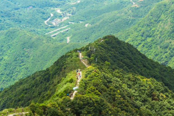 深圳旅游必去十大免费景点排名榜-深圳市免费景点十大排名