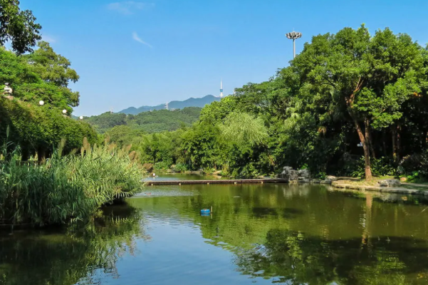 罗湖必去的十大景点排行榜-深圳罗湖区十大景点排行榜