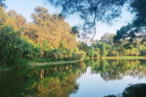 广州天河区网红拍照圣地-广州天河区网红打卡景点排行榜