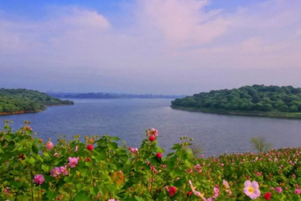 东莞免费景点排行榜前十名-东莞十大免费景区排行榜