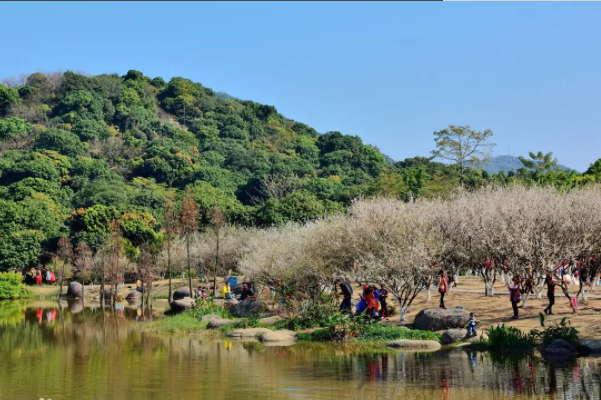 黄埔游玩景点大全-黄埔区十大旅游景点排行榜