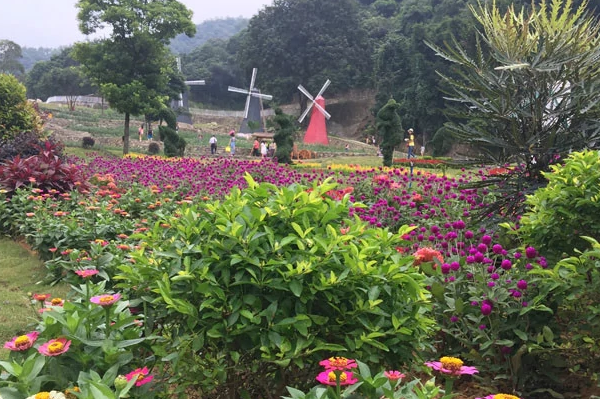 增城旅游必去十大景点排行榜-增城区十大旅游景点排行榜