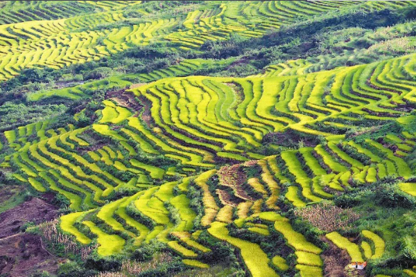 梅州的冬天有什么风景-梅州冬季旅游最佳去处排行榜