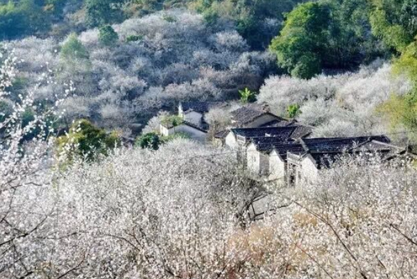 揭阳一日游景点自驾游排行榜-揭阳一日游最佳景点排行榜