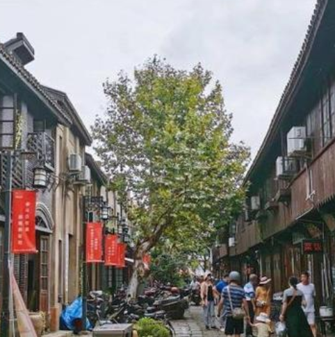 川沙有哪些景点-上海川沙十大景点排行榜