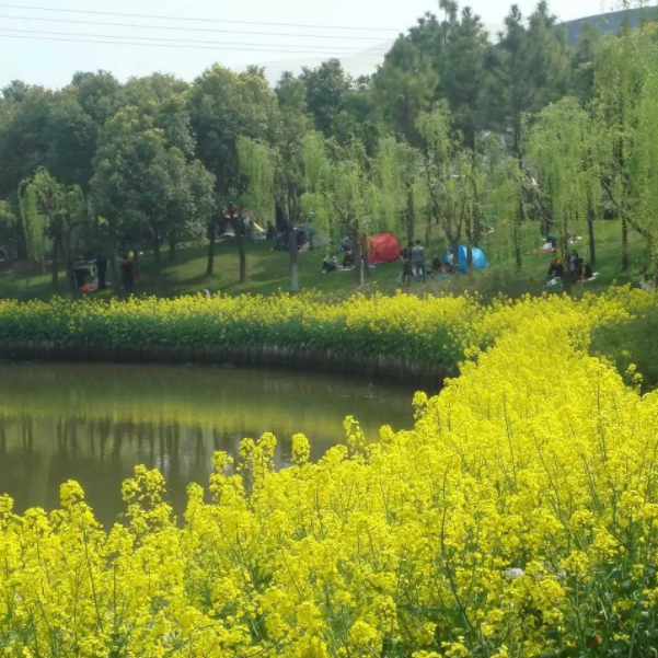 上海闵行区附近的景点排行榜-上海闵行周边景点排行榜