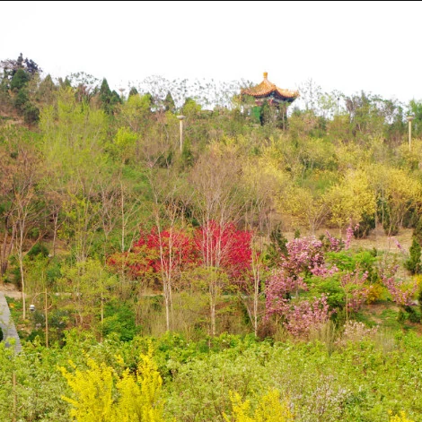 天津适合郊游踏青的地方排行榜-天津春季郊游好去处排行榜