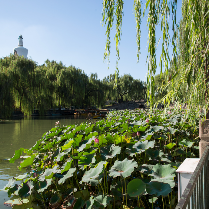 北京的4a景区有哪些-北京4A级景区名单排行榜