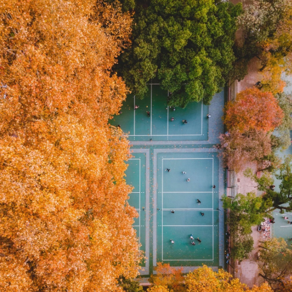 湖北大学校园风景排名榜-湖北省最美大学排名