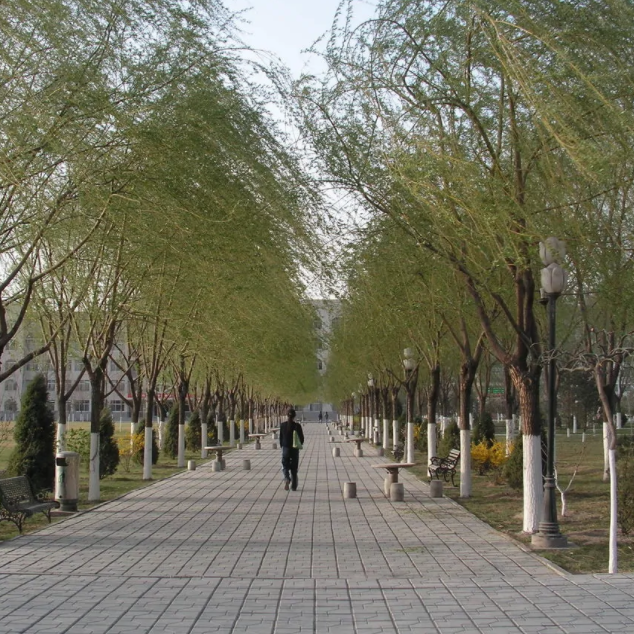 银川有名的大学排行榜-银川最好的大学排名