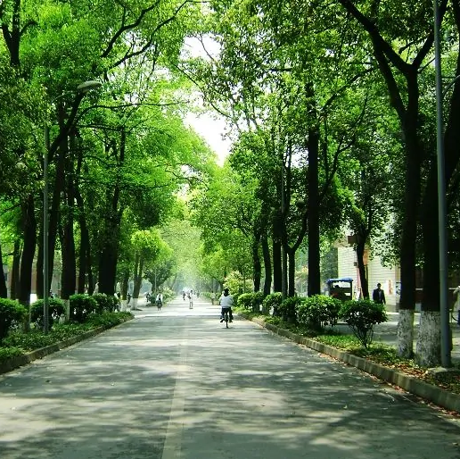 四川好看的大学排行榜-四川十大最美高校排行榜