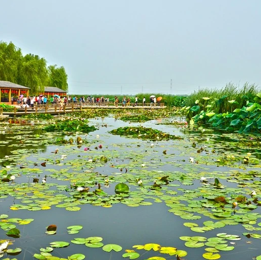 星海广场上榜(大连标志建筑)-辽宁十大免费景点排名