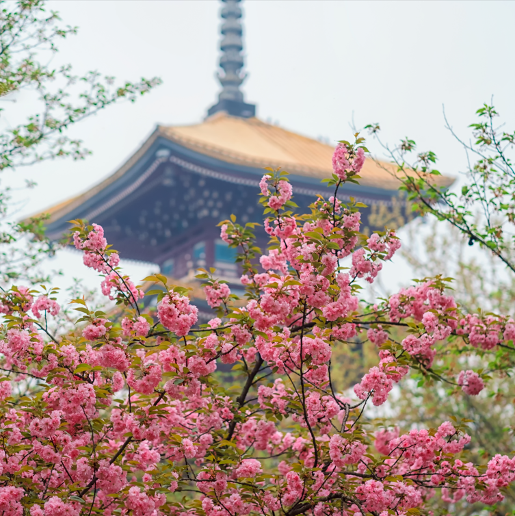 武汉市适合爬山的地方排行榜-武汉爬山景点排行榜