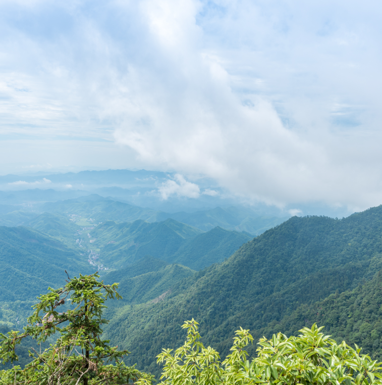 浙江4a景区有哪些景点-浙江4A级景区名单排行榜