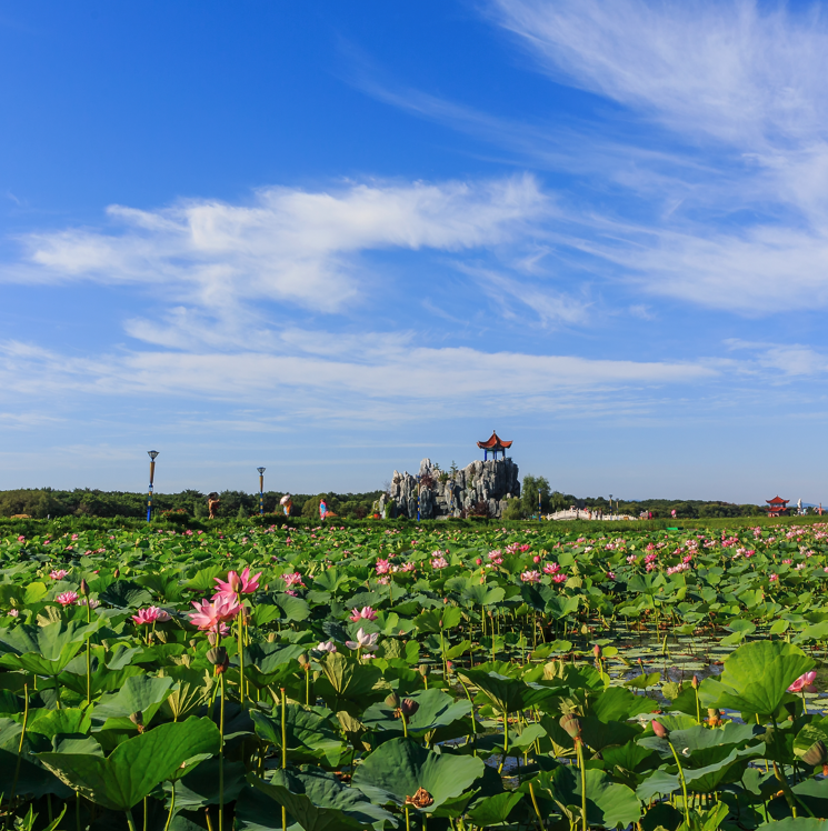 黑龙江省4a景区有哪些-黑龙江4A级景区名单排行榜