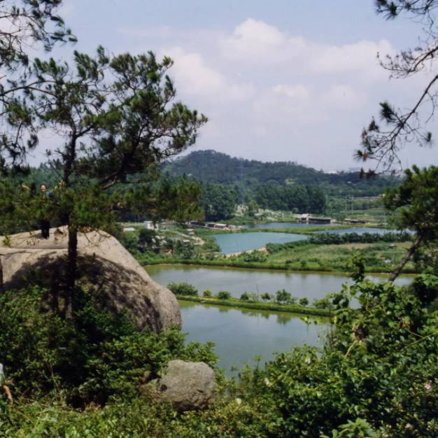 深圳市自驾游的好地方排行榜-深圳最美的自驾公路排行榜