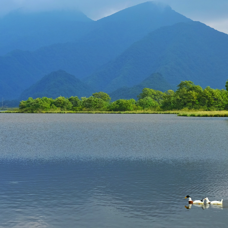 湖北适合露营的旅游景点排行榜-湖北露营十大圣地排行榜