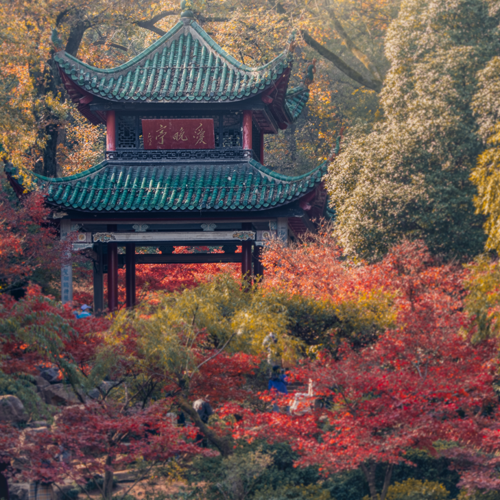 湖南有哪几座名山-湖南十大名山排行榜