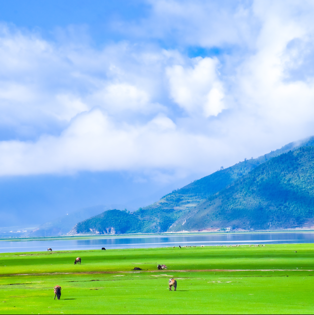 云南适合骑行旅游的地方有哪些-云南十大骑行胜地排行榜