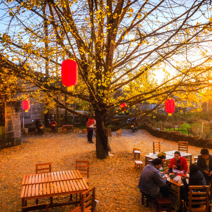 腾冲有什么好玩的地方和景点-云南腾冲旅游景点介绍排行榜