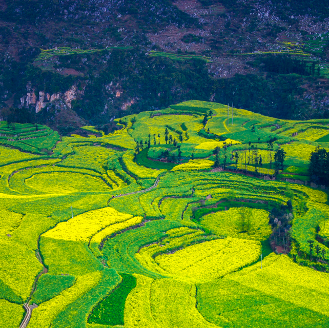 曲靖的有特色的旅游景点有哪些-曲靖景区著名景点排行榜