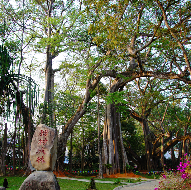 芒市必去景点有哪些-芒市必去的十大景点排行榜