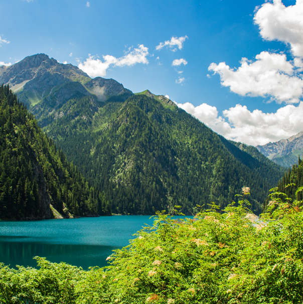 中国必去的旅游景点有哪些-国内旅游必去的十大地方排行榜