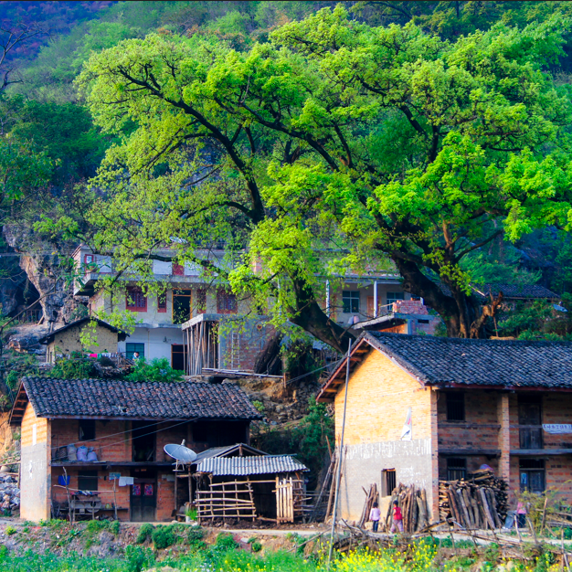 云南网红打卡旅游景点有哪些-云南网红打卡景点排名前十名