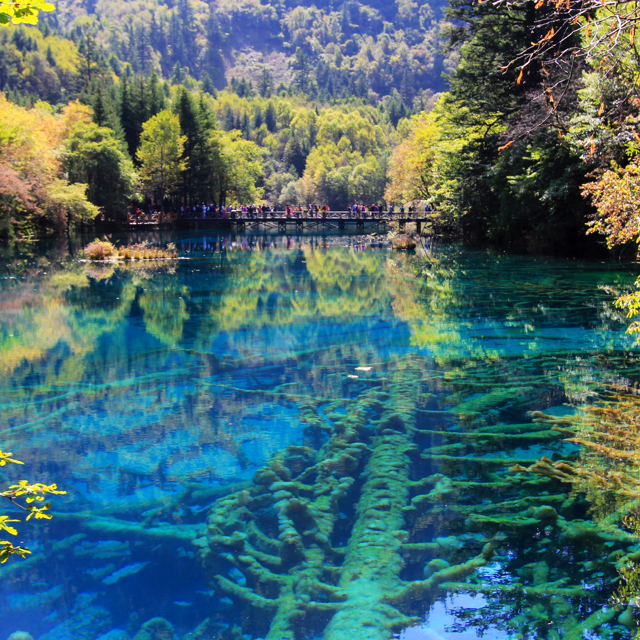 秋天去什么地方玩好-中国秋天旅游必去十大景点排行榜