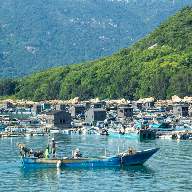 我国小众海岛有哪些-中国十大小众海岛排行榜