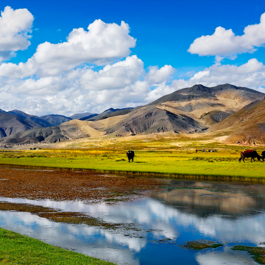 暑假孩子适合去哪里旅游-暑假带娃旅游好去处推荐排行榜