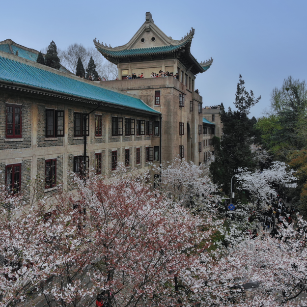 清明节好玩的景点有哪些-清明节十大热门景区排行榜