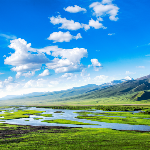 有高山草甸的景区叫什么-世界三大高山草甸草原排行榜