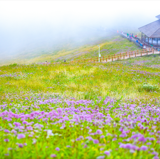 夏天哪里的山避暑-中国十大避暑名山排行榜