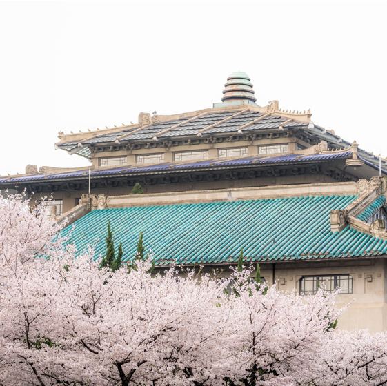 中国有哪些漂亮的大学-中国十大最美大学校园排行榜