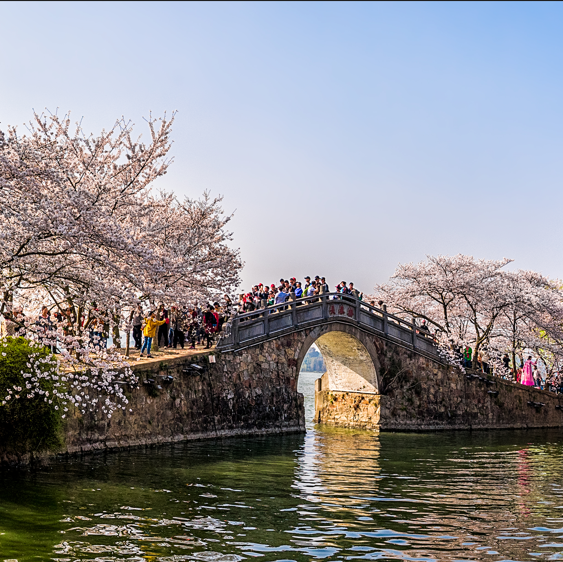 赏樱圣地上榜(春季花开灿烂)-江苏十大避暑胜地排名