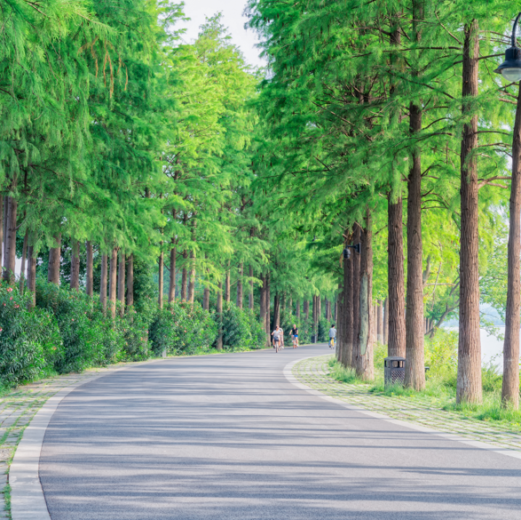 裹脚湖上榜(屈原李白曾来访)-湖北十大免费景点排名