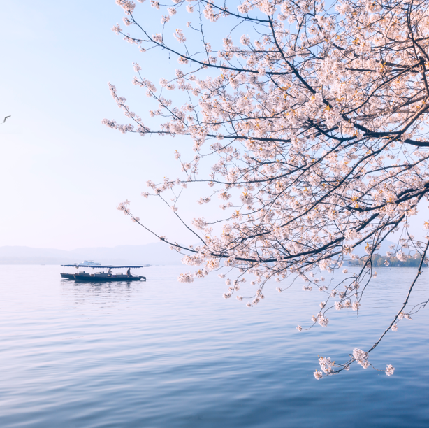 西湖上榜(国家5A景点)-浙江十大免费景点排名