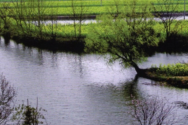 平山县上榜(环渤海开放县)-石家庄各区县面积排名