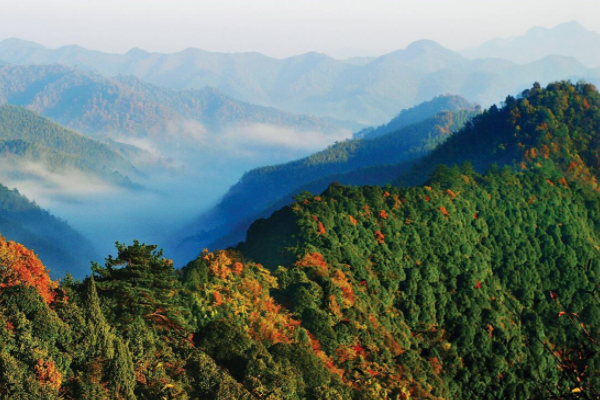 安吉县上榜(新型工业示范基地)-湖州各区县面积排行