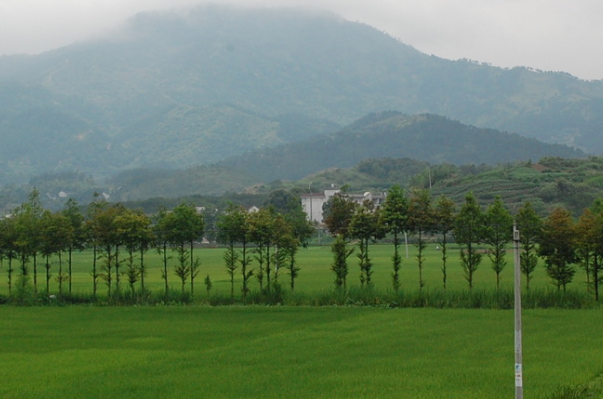 蕲春县上榜(国家质量安全县)-黄冈各区县面积排行