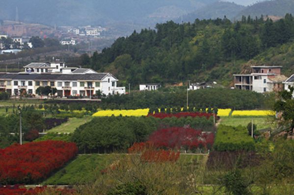 炎陵县上榜(神州第一陵)-株洲各区县面积排行