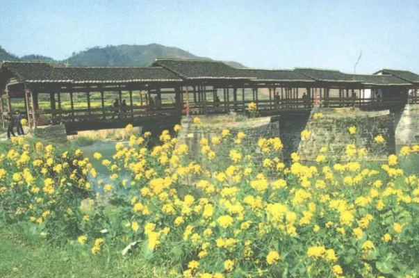 婺源县上榜(油菜花出名)-上饶各区县面积排行