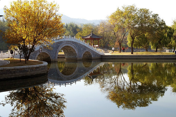 冷水滩区上榜(永州金融中心)-永州各区县面积排行