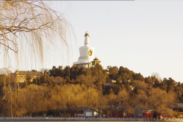 北京银杏树景点在哪里-北京赏银杏树最佳地点-北京银杏树在哪里看最美